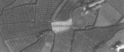 Terreno_rego_2