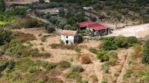 Vista da Propriedade