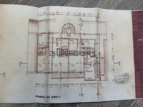 Plantas 1 - Magoito
