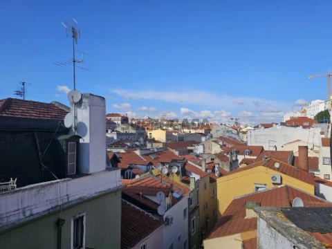 Vista
