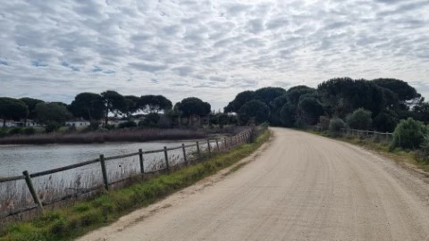 Lago
