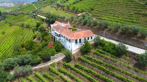 Quinta T6 em Cambres, Lamego