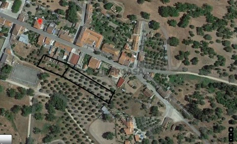 terrenos_Avis_Rute_Ferreira_Imobiliaria_lda