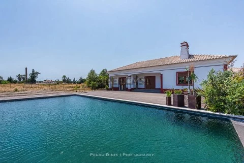 Quinta T5 em Gâmbia-Pontes-Alto Guerra, Setúbal