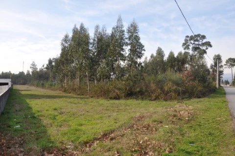 Terreno para construção, Gandra e Taião, Valença, terreno