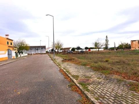 Terreno em Pombalinho, Golegã