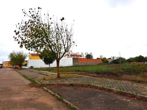 Terreno em Pombalinho, Golegã