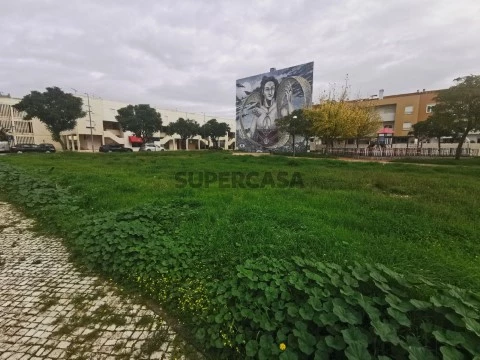 Terreno