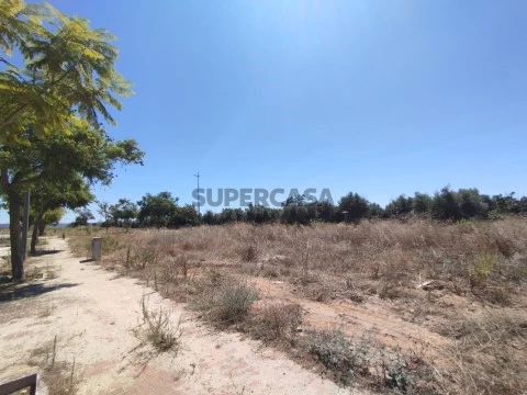Lote