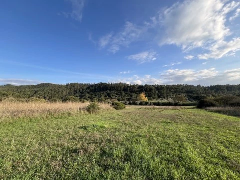 Terreno