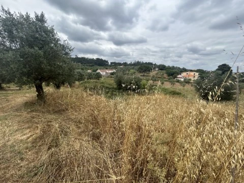 Terreno