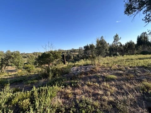 Terreno