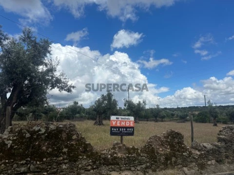 Terreno