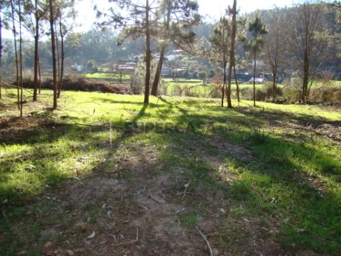 Terreno Rústico em Cossourado, Barcelos