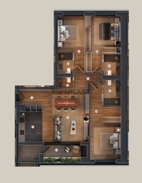 Planta