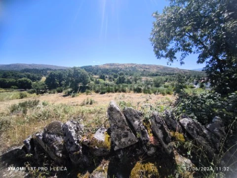 Terreno Rústico em Muxagata, Fornos de Algodres