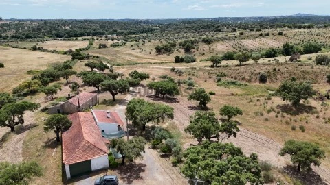 Quinta Agrícola T3+1 em Póvoa de Rio de Moinhos e Cafede, Castelo Branco