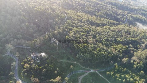 DJI_0029