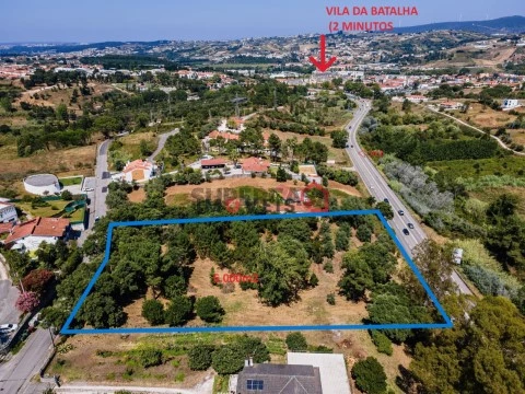 Terreno na Batalha, Batalha