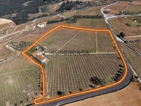 Quinta Rural em Favaios, Alijó