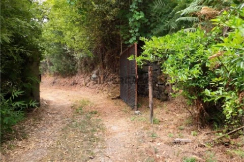 Terreno em Estorãos, Fafe