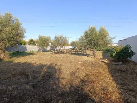 Terreno em Abrantes (São Vicente e São João) e Alferrarede, Abrantes