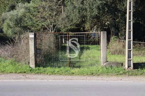 Terreno em Abrantes (São Vicente e São João) e Alferrarede, Abrantes