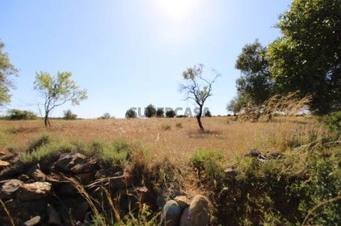 Terreno rustico