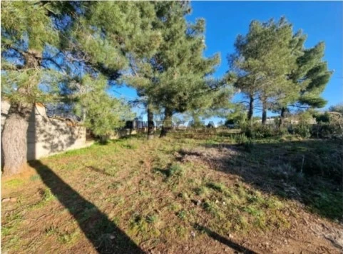 Terreno em Samil, Bragança