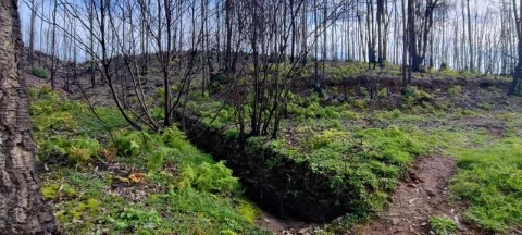 Terreno em Melres e Medas, Gondomar