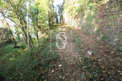 Terreno em Rebordelo, Amarante
