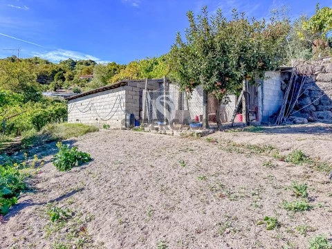Terreno em Grilo, Baião