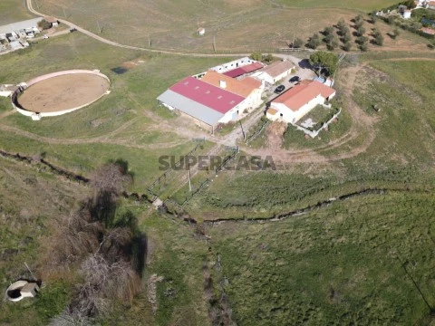 Bauernhof im Alentejo auf Sobral da Adiça, Moura