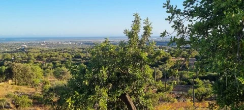 Terreno-para-venda- com Projecto aprovado- Faro-Hometown Properties