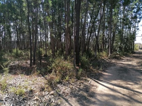 Terreno