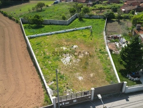 Terreno