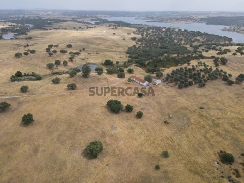 DJI_0356