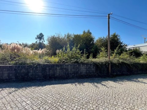 IMG-20251016-WA0008