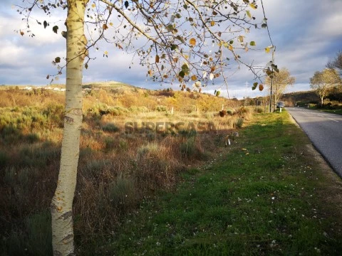 IMG_20201205_160319