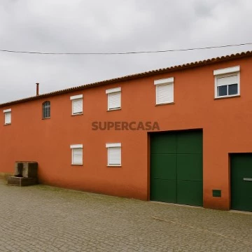 Foto melhorada