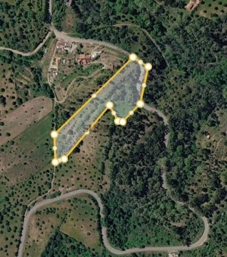 Terreno Terreno em Mouriscas, Abrantes