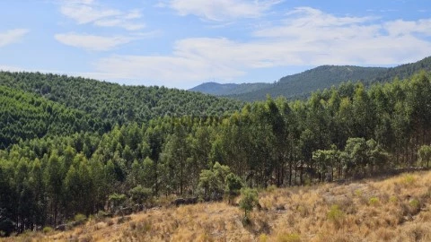 Terreno Urbanizável em Estrada de Nisa, Alpalhão, Nisa
