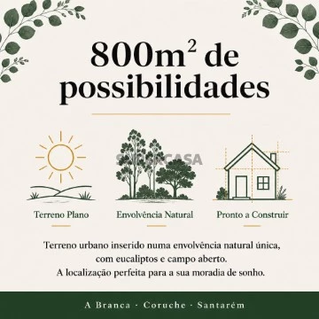 Terreno Urbano na Rua da Fruta, Branca, Coruche