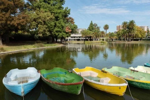 Quarto em Campo Grande, Alvalade, Lisboa