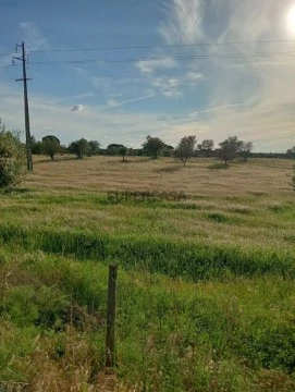 Terreno Terrenos en Pavia, Mora