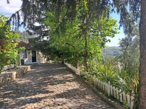 Quintas e casas rústicas T3 em São Cristóvão de Nogueira, Cinfães