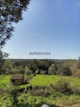 Vistas