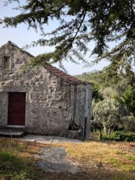 Terreno Terreno em Casal Vasco, Fornos de Algodres