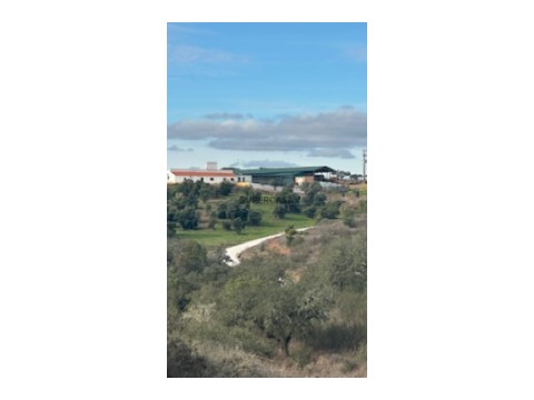 Fotografia Herdade