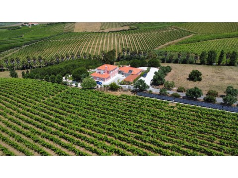 VINEYARD_HOUSE